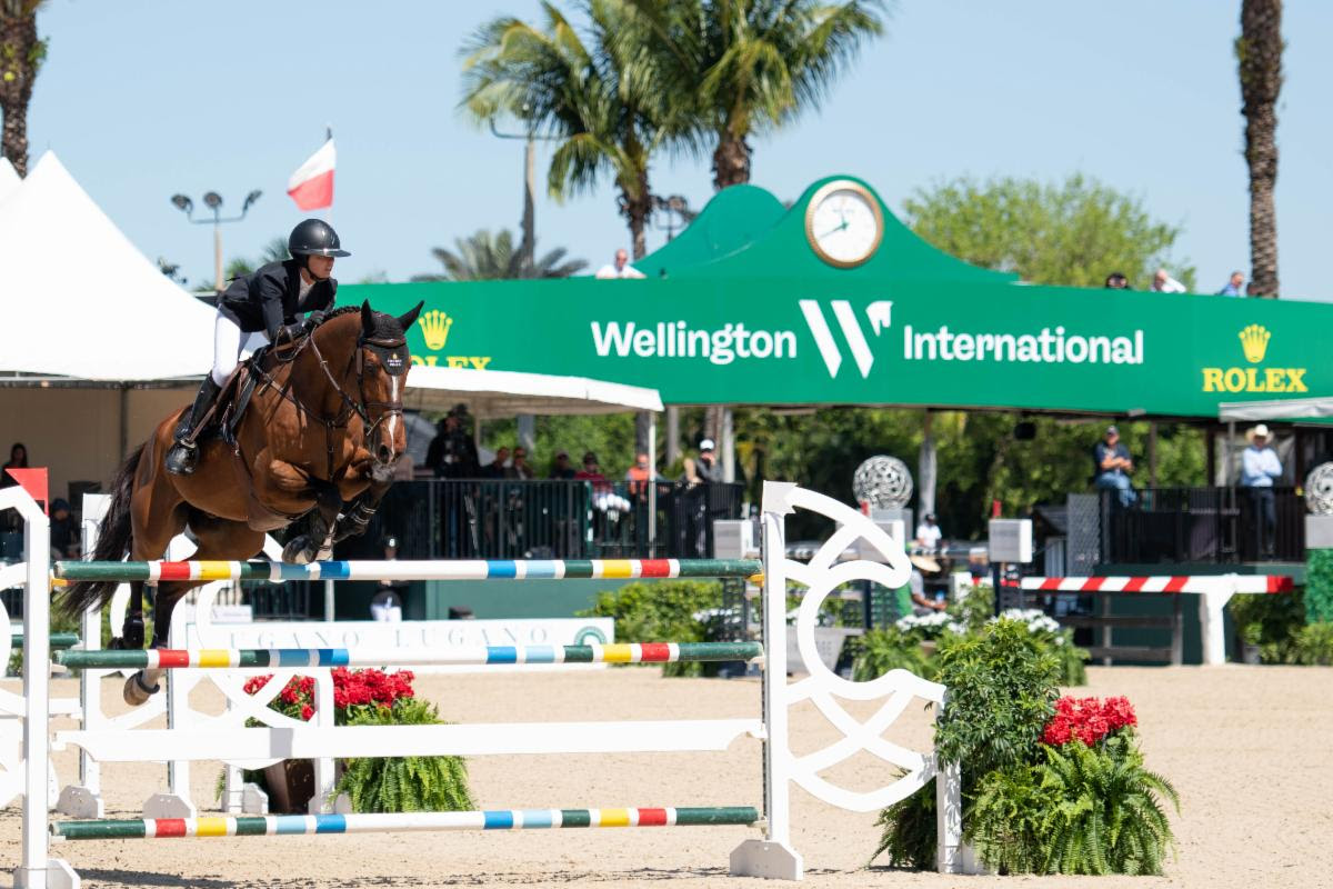 Wellington International sign